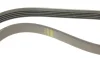 Ремінь генератора Honda Accord 2.0 EX-97 (5PK930) BOSCH 1 987 947 825 (фото 4)