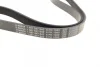 Ремінь генератора VW Crafter 2.0TDI 11-16/Golf 1.4/1.6 97-05/Audi A1/A2/A4 1.4-2.0 01-18 (6PK1080) BOSCH 1 987 947 842 (фото 3)