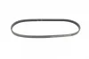Ремінь генератора Smart Fortwo 0.6-0.7i 02-07/Mitsubishi Colt 1.5 05-12 (4PK790) BOSCH 1 987 947 856 (фото 4)