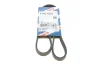 Ремінь генератора Renault Mascott 99-05/Iveco Daily 99-06/Mazda 323 89-96/MX-3 93-98 (4PK1015) BOSCH 1 987 947 860 (фото 1)
