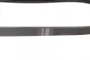 Ремінь генератора Renault Kangoo 1.6i 08-/ Nissan Micra1.0-1.4 92-03 (4PK725) BOSCH 1 987 947 889 (фото 2)