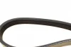 Ремінь генератора Honda Civic VI/Nissan Primera/Citroen Berlingo 1.4-1.6 16V 94-05 (4PK800) BOSCH 1 987 947 893 (фото 3)