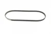 Ремінь генератора поліклиновий Hyundai Accent 1.3-1.6 94-11/ Toyota Carina/ Corolla 1.6-2.0 93-01 (4PK850) BOSCH 1 987 947 895 (фото 5)