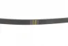 Ремінь генератора Renault Kangoo/Clio 1.2i 97-/Fiat Scudo 1.6i 96-06/Nissan Kubistar 1.2 03- (4PK905) BOSCH 1 987 947 899 (фото 2)
