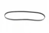 Ремінь генератора Renault Kangoo/Clio 1.2i 97-/Fiat Scudo 1.6i 96-06/Nissan Kubistar 1.2 03- (4PK905) BOSCH 1 987 947 899 (фото 5)