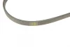 Поліклиновий ремінь (4PK920) MAZDA 323 F VI, 323 S VI, 626 IV, 626 V, PREMACY, XEDOS 9 NISSAN BLUEBIRD TOYOTA ALLION I, CHASER, ECHO, HILUX IV, STARLET, SUPRA 1.3-3.0 01.84-01.17 BOSCH 1 987 947 902 (фото 4)