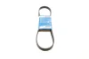 Ремінь генератора BMW 3 (E36)/5 (E34/E39) 2.0/2.5i 90-00/Ford Focus 2.5 05-12/Volvo C30/C70 04-13 BOSCH 1 987 947 913 (фото 1)
