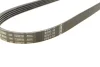 Ремінь генератора BMW 3 (E36)/5 (E34/E39) 2.0/2.5i 90-00/Ford Focus 2.5 05-12/Volvo C30/C70 04-13 BOSCH 1 987 947 913 (фото 3)