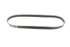 Ремінь генератора BMW 3 (E36)/5 (E34/E39) 2.0/2.5i 90-00/Ford Focus 2.5 05-12/Volvo C30/C70 04-13 BOSCH 1 987 947 913 (фото 5)