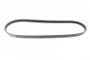 Ремінь генератора Mazda 626 1.8-2.2 86-96/Opel Kadett 1.6 86-94/Ford Escort 1.8D 88-95 (5PK1010) BOSCH 1 987 947 921 (фото 4)