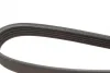 Ремінь генератора Renault Trafic/Master/Laguna/Opel Movano/Vivaro 1.9dCi 01- (5PK1125) BOSCH 1 987 947 927 (фото 4)