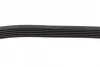 Ремінь генератора VW Caddy/Golf/Skoda Octavia 1.6/2.0 04-15/Fiat Ducato 2.5TDI 94-02/Scudo 1.6 96-06 BOSCH 1 987 947 936 (фото 4)