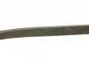 Ремінь генератора VW T4/Caddy 1.9D/TD 90-03/Toyota Corolla/Auris 1.4D 06-14/Kia Rio 1.25 17- (6PK923) BOSCH 1 987 947 938 (фото 3)