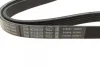 Ремінь генератора VW Golf III/Passat/T4 1.9D/TD 90-04/Opel Corsa F 1.2 19-/Fiat Scudo 1.9D 98-06 BOSCH 1 987 947 940 (фото 2)