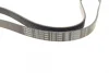 Ремінь генератора Ford Connect (-AC)/Opel Combo 1.2/1.4i -01 (6PK1460) BOSCH 1 987 947 948 (фото 2)