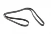 Ремінь генератора Hyundai Santa Fe/Kia Magentis 05-/Lexus GS 5.0 14-/MB (W202/W210) 93-02 (6PK2055) BOSCH 1 987 947 988 (фото 4)