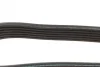 Ремінь генератора Mazda 3 1.3/1.6 03-09 (6PK2013) BOSCH 1 987 947 994 (фото 4)