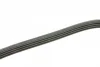 Ремінь генератора Suzuki Grand Vitara 2.5 V6 24V/2.7 01-03/Vitara 2.0 V6 24V 94-98 (4PK1090) BOSCH 1 987 948 312 (фото 3)