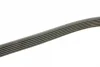 Ремінь генератора Fiat Doblo1.3-1.6 D 10-/Opel Astra F/Corsa B/Vectra B 1.4-1.8/ 94-03 (6PK1530) BOSCH 1 987 948 315 (фото 3)