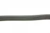 Ремінь генератора Audi A6 2.5TDI 94-97/Ford Fiesta 1.4TDCi 01-12/Peugeot Partner 1.6HDi 05- (6PK1340) BOSCH 1 987 948 316 (фото 3)