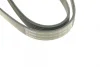 Ремінь генератора Audi A6 2.5TDI 94-97/Ford Fiesta 1.4TDCi 01-12/Peugeot Partner 1.6HDi 05- (6PK1340) BOSCH 1 987 948 316 (фото 5)