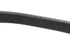 Ремінь генератора Renault Megane/Scenic 1.9dCi/2.0 03-/Nissan Juke 1.6 10- (7PK1122) BOSCH 1 987 948 317 (фото 4)