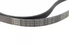 Ремінь генератора Audi A6 S6/RS6 quattro 99-05/A8 3.7/4.2/S8 quattro 94-02 (6PK2680) BOSCH 1 987 948 323 (фото 2)