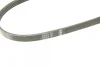 Ремінь генератора Suzuki Baleno 95-02/ Toyota Auris/Verso 1.3-1.6 i 10- (4PK900) BOSCH 1 987 948 349 (фото 4)