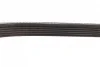 Ремінь генератора Citroen Berlingo/Jumpy/Fiat Scudo/Peugeot Partner 1.9D 98-/Hyundai Accent 02-05 BOSCH 1 987 948 353 (фото 4)