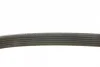Ремінь генератора Peugeot 206/306/4007/406/4007/Citroen C5 1.9TD/2.0/2.2HDI 96- (6PK1743) BOSCH 1 987 948 360 (фото 3)