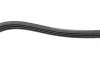Ремінь генератора Renault Clio 1.2/1.4 90-98/Nissan Micra/Note 1.0-1.4 03-12 (4PK1075) BOSCH 1 987 948 361 (фото 4)