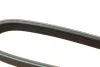 Ремінь генератора Renault Kangoo 1.2 98- / Dacia Logan/Sandero 1.2 12- (4PK1538) BOSCH 1 987 948 364 (фото 4)