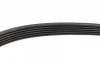 Ремінь генератора Peugeot Expert/Citroen Jumpy 2.0HDi 07-/Ford Focus/Kuga 2.0TDCi 04-12 (6PK1215) BOSCH 1 987 948 391 (фото 3)