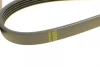 Ремінь генератора BMW 5 (E39)/7 (E38) 2.5TDS 96-04/Kia Cerato/Rio/Hyundai Accent 1.5/1.6CRDI 05- BOSCH 1 987 948 396 (фото 4)