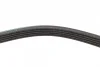 Ремінь генератора Audi A6 5.0 08-10/BMW 3 (E46) 1.6/1.8i 98-02/Suzuki Jimny 1.5 18- (5PK950) BOSCH 1 987 948 400 (фото 4)