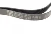 Ремінь генератора Ford Transit 2.4 DI-2.4TDCI 00-06 (7PK2875) BOSCH 1 987 948 401 (фото 2)