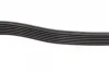 Ремінь генератора Ford Transit 2.4 DI-2.4TDCI 00-06 (7PK2875) BOSCH 1 987 948 401 (фото 4)