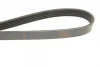 Ремінь генератора Renault Kangoo 1.5 dCi (5PK1135) BOSCH 1 987 948 410 (фото 4)