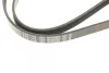 Ремінь генератора Opel Movano/Renault Master 2.5D/2.8DTI 98-01/Megane/Laguna 1.4-1.6 03-08 (5PK1195) BOSCH 1 987 948 413 (фото 5)