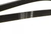 Ремінь генератора Ford Focus 1.8 TDCi 05-12/Skoda Octavia 1.4 i 99-01 (6PK1520) BOSCH 1 987 948 425 (фото 2)