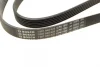 Ремінь генератора Ford Focus 1.8 TDCi 05-12/Skoda Octavia 1.4 i 99-01 (6PK1520) BOSCH 1 987 948 425 (фото 3)