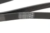 Ремінь генератора Renault Espace 2.2 dCi 02-/Land Rover Discovery 4.0 V8 4x4 98-04 (7PK1775) BOSCH 1 987 948 431 (фото 3)