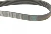 Ремінь генератора Honda CR-V 2.0 01-06 (7PK1730) BOSCH 1 987 948 442 (фото 4)