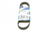 Ремінь генератора поліклиновий Peugeot Partner/307/508 02-/Citroen Berlingo/C2/C3/C4/C5 1.6 HDi 04- (6PK976) BOSCH 1 987 948 486 (фото 1)