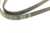 Ремінь генератора VW Passat B5/Audi A4/A6 1.9TDI 98-05/Skoda Superb 1.9/2.0TDI 01-08 (5PK1432) BOSCH 1 987 948 491 (фото 3)