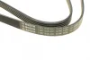 Ремінь генератора VW Passat B5/Audi A4/A6 1.9TDI 98-05/Skoda Superb 1.9/2.0TDI 01-08 (5PK1432) BOSCH 1 987 948 491 (фото 4)