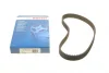 Ремінь ГРМ CHERY FENGYUN, QQ3 CHEVROLET MATIZ, SPARK DAEWOO LABO, MATIZ, TICO MITSUBISHI COLT V, LANCER VI, MIRAGE V 0.8-1.6 02.95- BOSCH 1 987 948 778 (фото 1)
