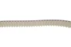 Комплект ГРМ Jaguar XF I/XJ/S-Type II 2.7D/3.0D 04- (195x30) замінено на 1987945425 BOSCH 1 987 948 949 (фото 10)