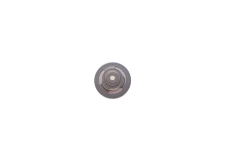 Клапан насосу паливного Daf/Ford/Iveco/MB/Renault/Scania/Volvo BOSCH 2 447 419 002