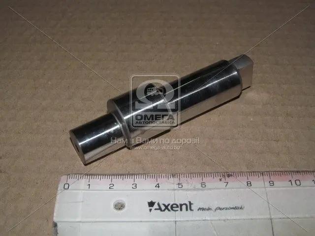 Ексцентріковий вал BOSCH F 01M 100 285 (фото 1)